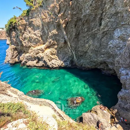 Guest house Ca Del Re - A Due Passi Dal Mare - Terrasini, Cinisi, Trappeto, Balestrate E Castellamare Del Golfo Partinico